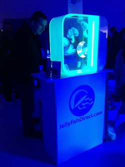 SW Ont. Coral Expo – Thanks!