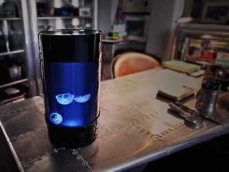 The NEW Jellyfish Art Nano Aquarium Is Coming – PRE-ARRIVAL SPECIAL