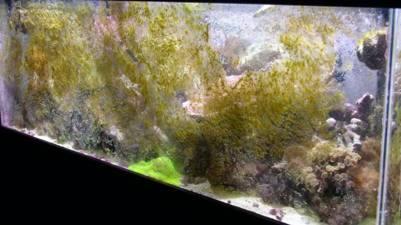 Our Kits and Packages